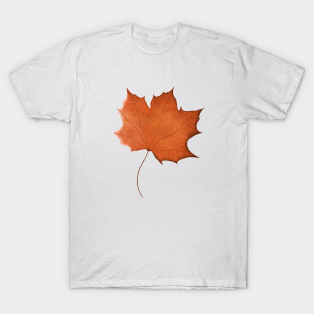 Autumn maple leaf red orange T-Shirt by mikhaleeevich